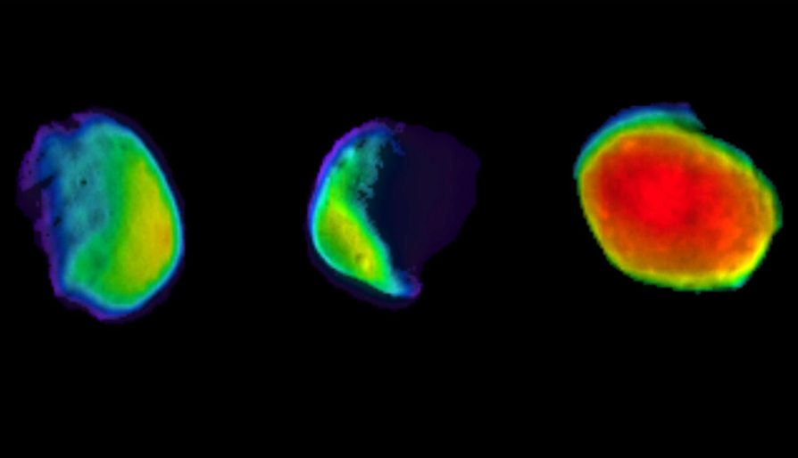 hirviö ripustettu hanat